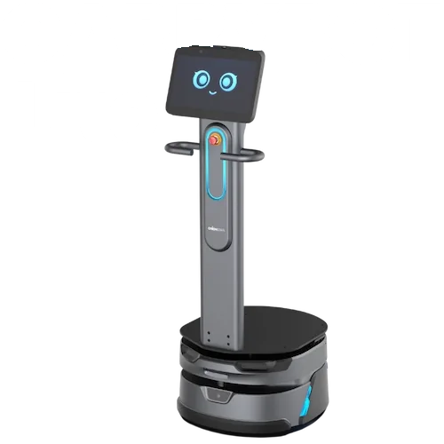 CarryBot PRO, logística